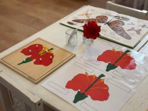 la casa dei bambini montessori - palermo - 10
