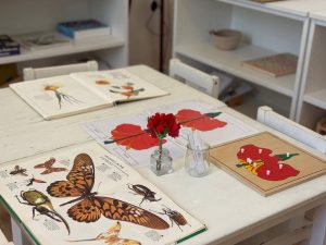 la casa dei bambini montessori - palermo - 22
