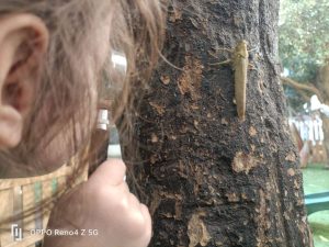 la casa dei bambini montessori - palermo - 23