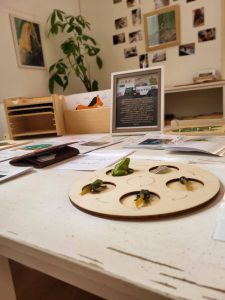 la casa dei bambini montessori - palermo - 6