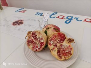la casa dei bambini montessori - palermo - 9